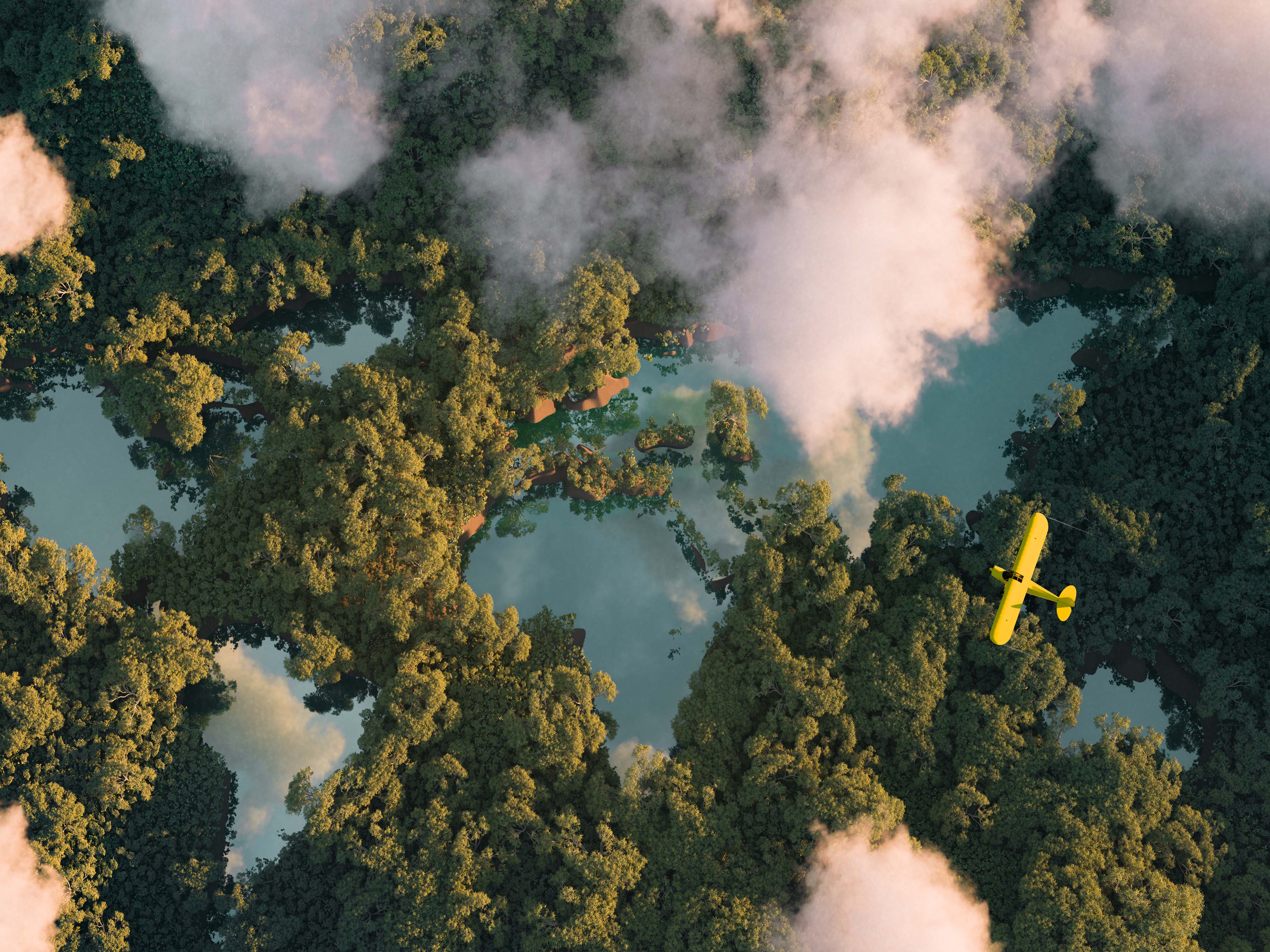 Aerial view of a plane Cloud Forest